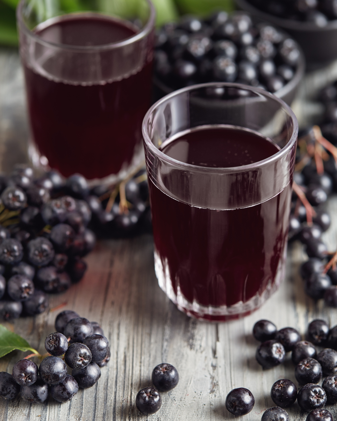 Raccolto abbondante di bacche di Aronia × prunifolia 'Nero' a luglio.