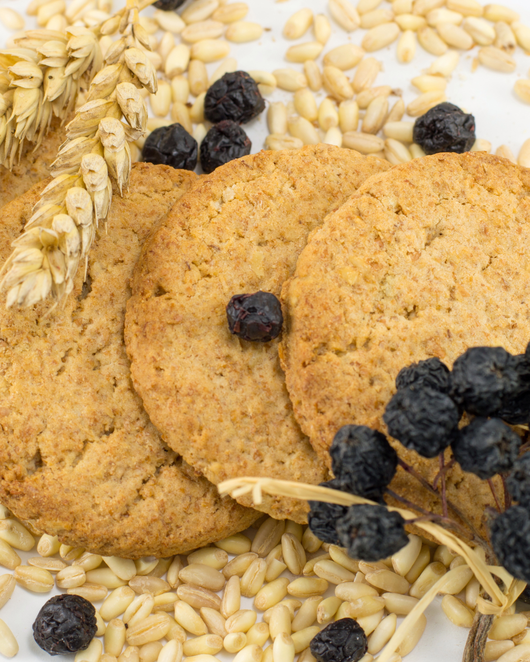Torta fatta in casa con bacche di Aronia Nero – ricca di antiossidanti.