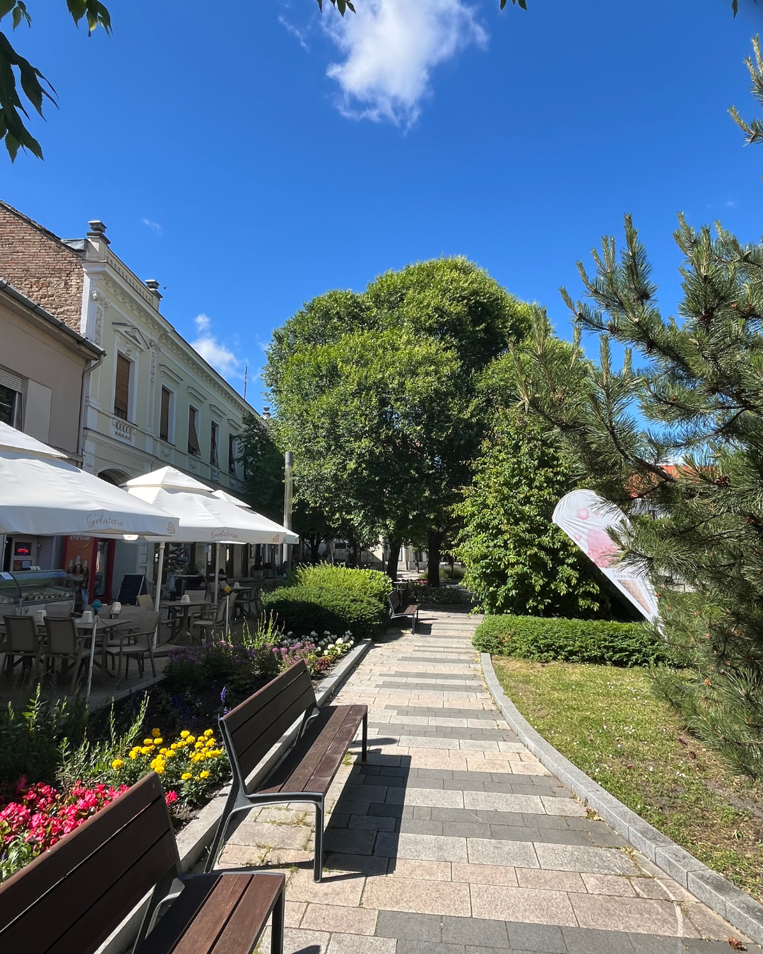 Robusti Khojasalm alberi che funzionano come naturale vento- e rumore-protezione.