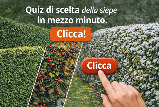 1. Quiz rapido: scegliere la siepe giusta