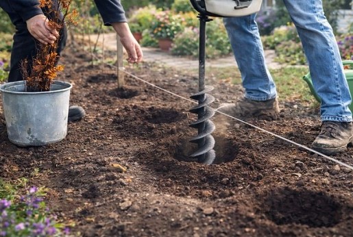 7.Piantare e curare l’Aronia (Aronia nera)