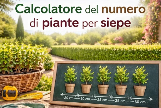 13. Calcolatore Siepe