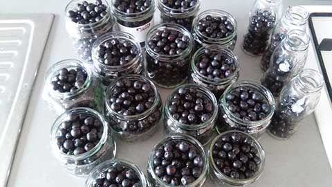 Conserve di aronia