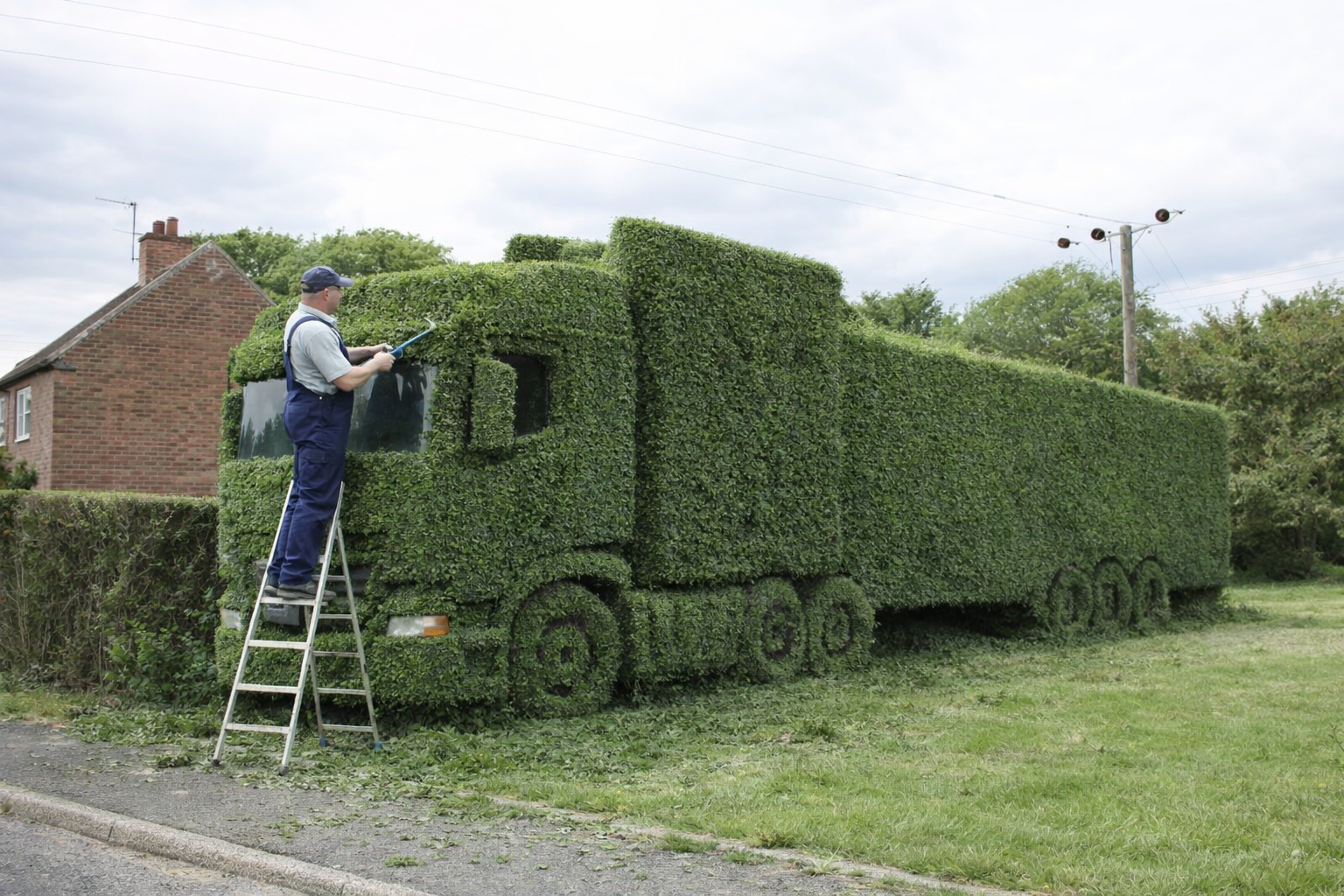 12.Formazione e scultura delle siepi