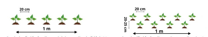 MESSA A DIMORA E CURA