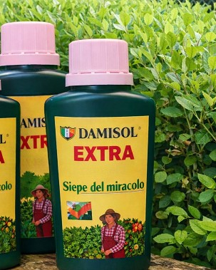 DAMISOL EXTRA – Concime liquido speciale per piante da siepe – 400 ml